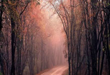 [德甲]进球大战！莱比锡客场遭逆转.