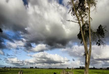 问鼎娱乐：意媒：迪马尔科德比没上是预防措施，邓弗里斯还会缺阵3到4周.