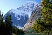 问鼎娱乐：老瓦杯-马龙陈梦取得全胜 亚洲队击败世界队夺冠.