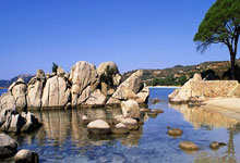 问鼎娱乐：“江苏省重大赛事承办：南京世界室内田径锦标赛等落户江苏”.